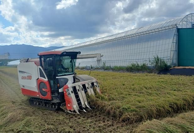 김해시, 2025년산 공공비축미곡 매입 추진 15일 산물벼 매입 시작으로 2,687t 매입