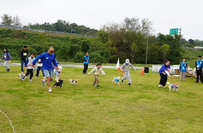 반려마루화성 홈커밍데이 (2) 경기사진