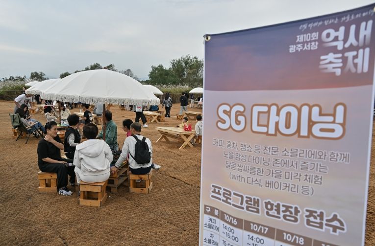 광주서창억새축제 10년의 감성으로 물들다